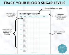 Load image into Gallery viewer, Blood Sugar Tracker | BUNDLE of 6 Blood Sugar Logs, Glucose Tracker, Diabetes Log, Medical Planner Printable, Type 2, Gestational Diabetes
