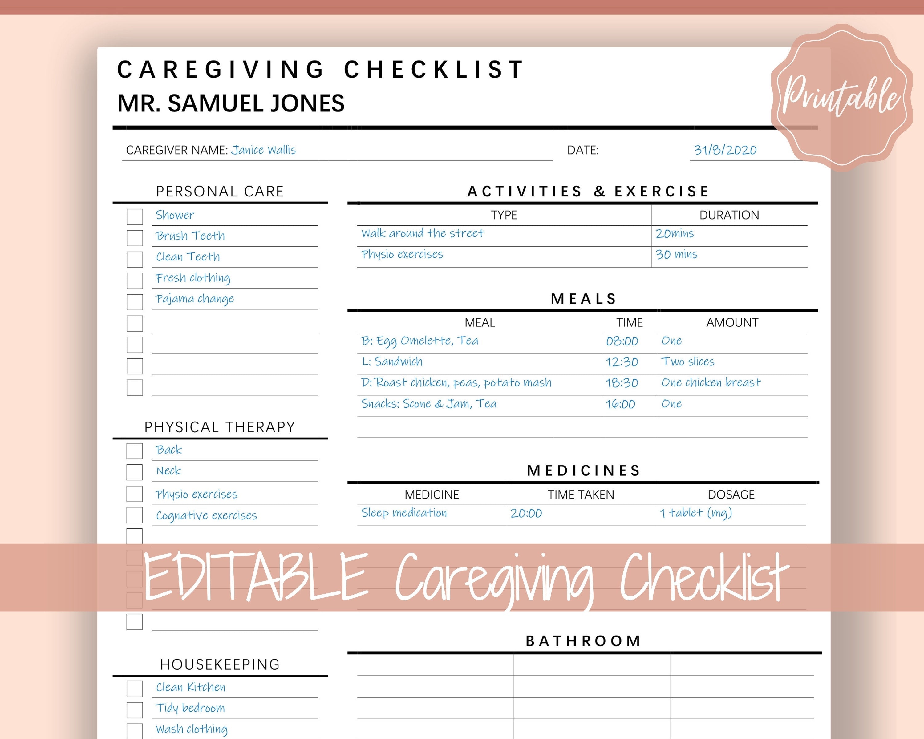 Editable Caregiving Elderly Care Checklist, Care log Template
