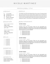 Load image into Gallery viewer, Professional Resume Template Word. CV Template Professional, Modern Executive Resume Template, Clean, Minimalist Resume, Free Docs Bundle