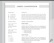 Load image into Gallery viewer, Professional Resume Template Word. CV Template Professional, Modern Executive Resume Template, Clean, Minimalist Resume, Free Docs Bundle | Style 7