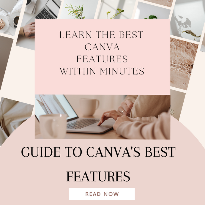 Guide to Canva's Best Features