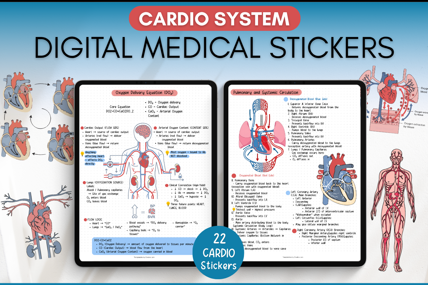 22 Cardiovascular Digital Stickers | Medical & Nursing Students