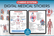 Cardiovascular Digital Stickers, Medical Student, Nursing, Digital Planner Sticker Pack, iPad Sticker Book, GoodNotes, Anatomy, Physiology
