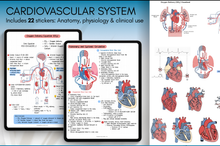 Load image into Gallery viewer, Cardiovascular Digital Stickers, Medical Student, Nursing, Digital Planner Sticker Pack, iPad Sticker Book, GoodNotes, Anatomy, Physiology
