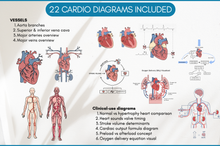 Load image into Gallery viewer, Cardiovascular Digital Stickers, Medical Student, Nursing, Digital Planner Sticker Pack, iPad Sticker Book, GoodNotes, Anatomy, Physiology

