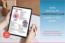 Load image into Gallery viewer, Cardiovascular Digital Stickers, Medical Student, Nursing, Digital Planner Sticker Pack, iPad Sticker Book, GoodNotes, Anatomy, Physiology
