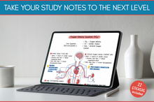 Load image into Gallery viewer, Cardiovascular Digital Stickers, Medical Student, Nursing, Digital Planner Sticker Pack, iPad Sticker Book, GoodNotes, Anatomy, Physiology
