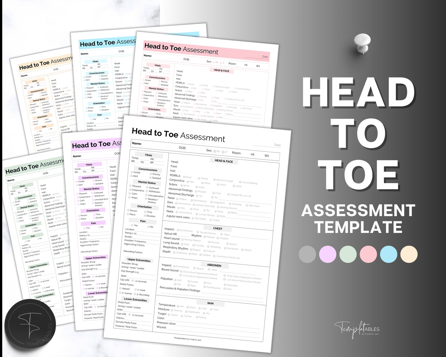 Head to toe Assessment Sheet | includes Head-to-toe Assessment Guide, Nursing Study Guide, Nurse Report, Nursing Student Notes & Nclex Care Plan | Pastel