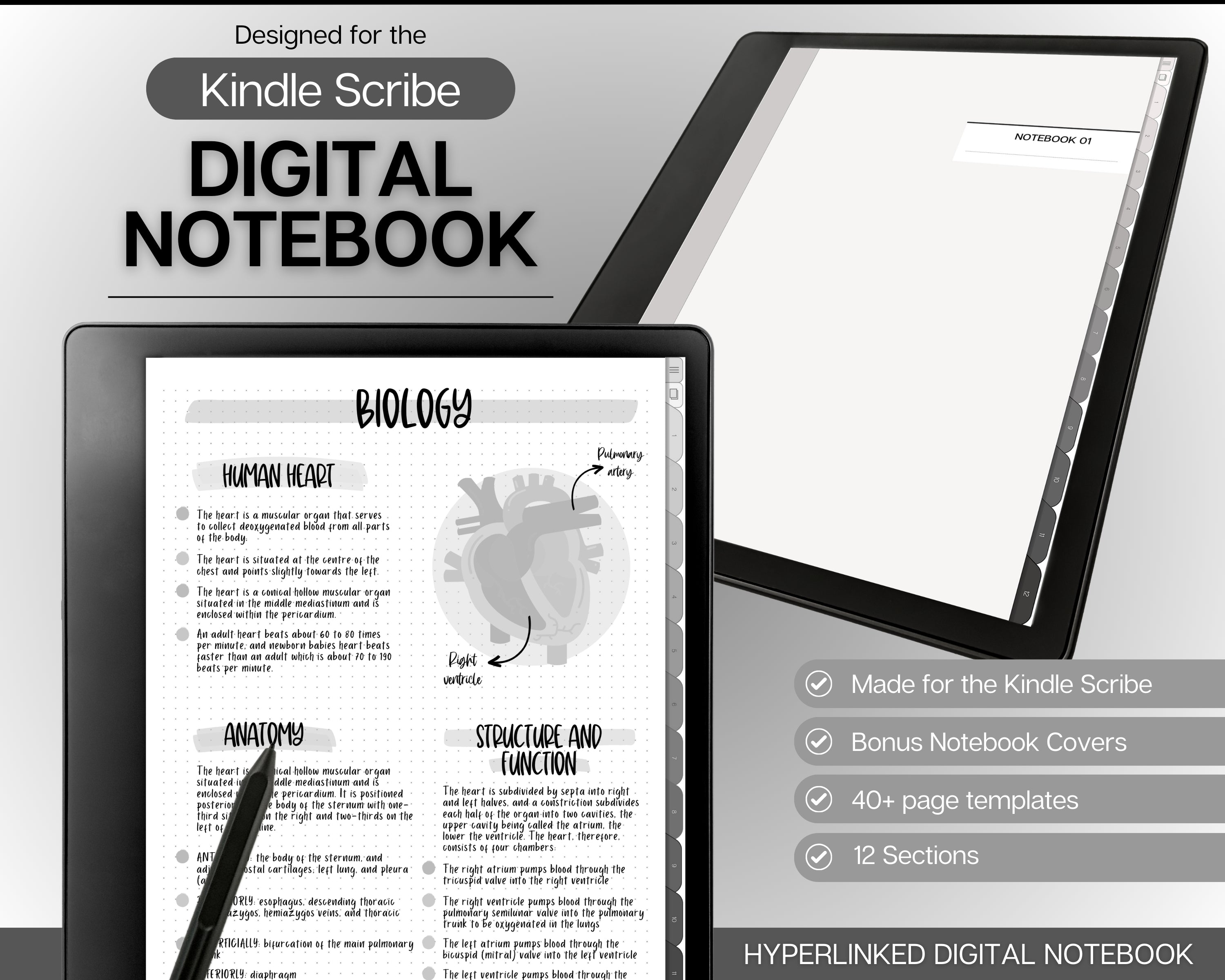 Digital Notebook made for the Kindle Scribe | 40+ Note Taking Page ...