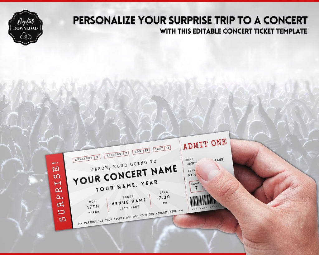 Perfect Ticket Example Concert Ticket Editable Template | Perfect Gift for Special Occasions
