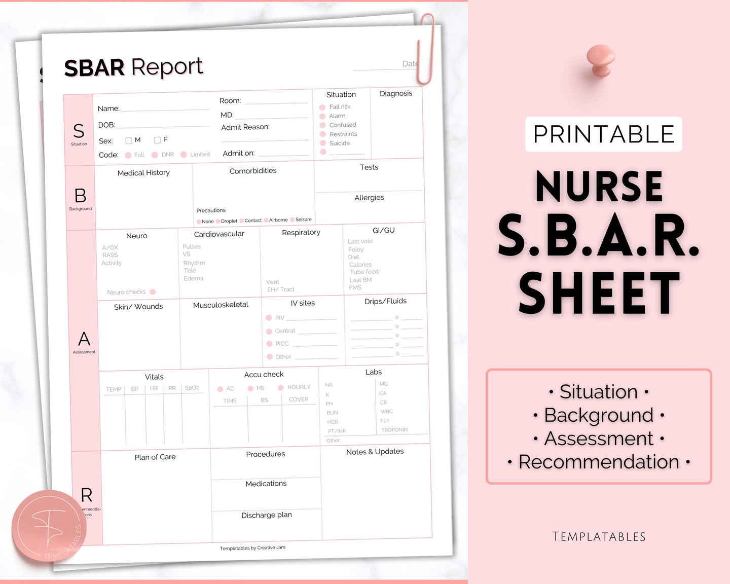SBAR Nurse Brain Report Sheet | ICU Nurse Report, RN Nursing, New Grad, Patient Assessment, Printable Template | Pink
