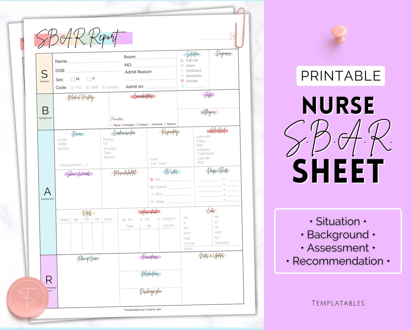 SBAR Nurse Brain Report Sheet | ICU Nurse Report, RN Nursing, New Grad, Patient Assessment, Printable Template | Pastel Rainbow