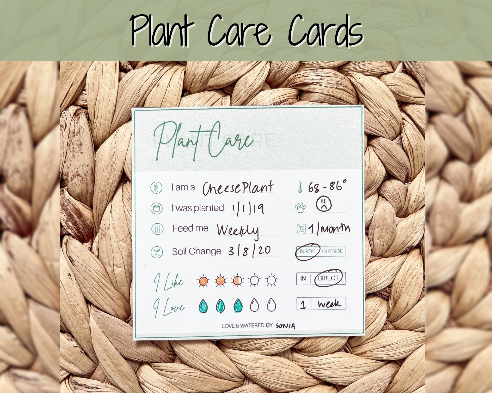 house plant care tags PLANT CARE Tags
