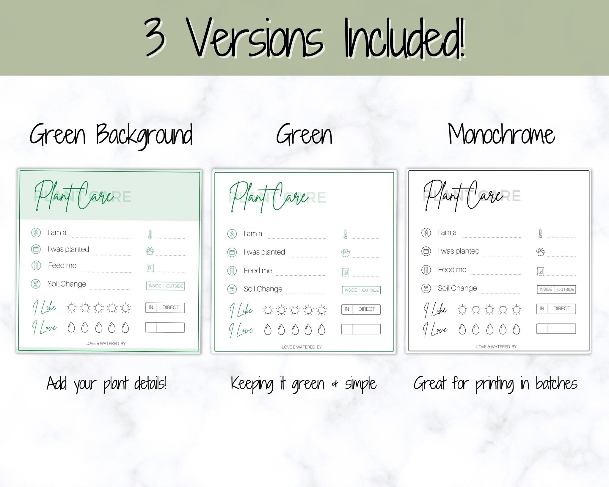 PLANT CARE Tags Printable Houseplant Care Instructions Cards