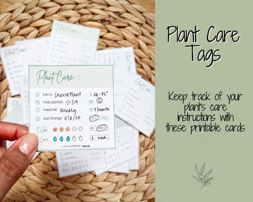 PLANT CARE Tags, Printable Plant Care Instructions Card, DIGITAL Care Card, Plant Sitter Gift, Plant Planner, Guide, Houseplant Garden Label