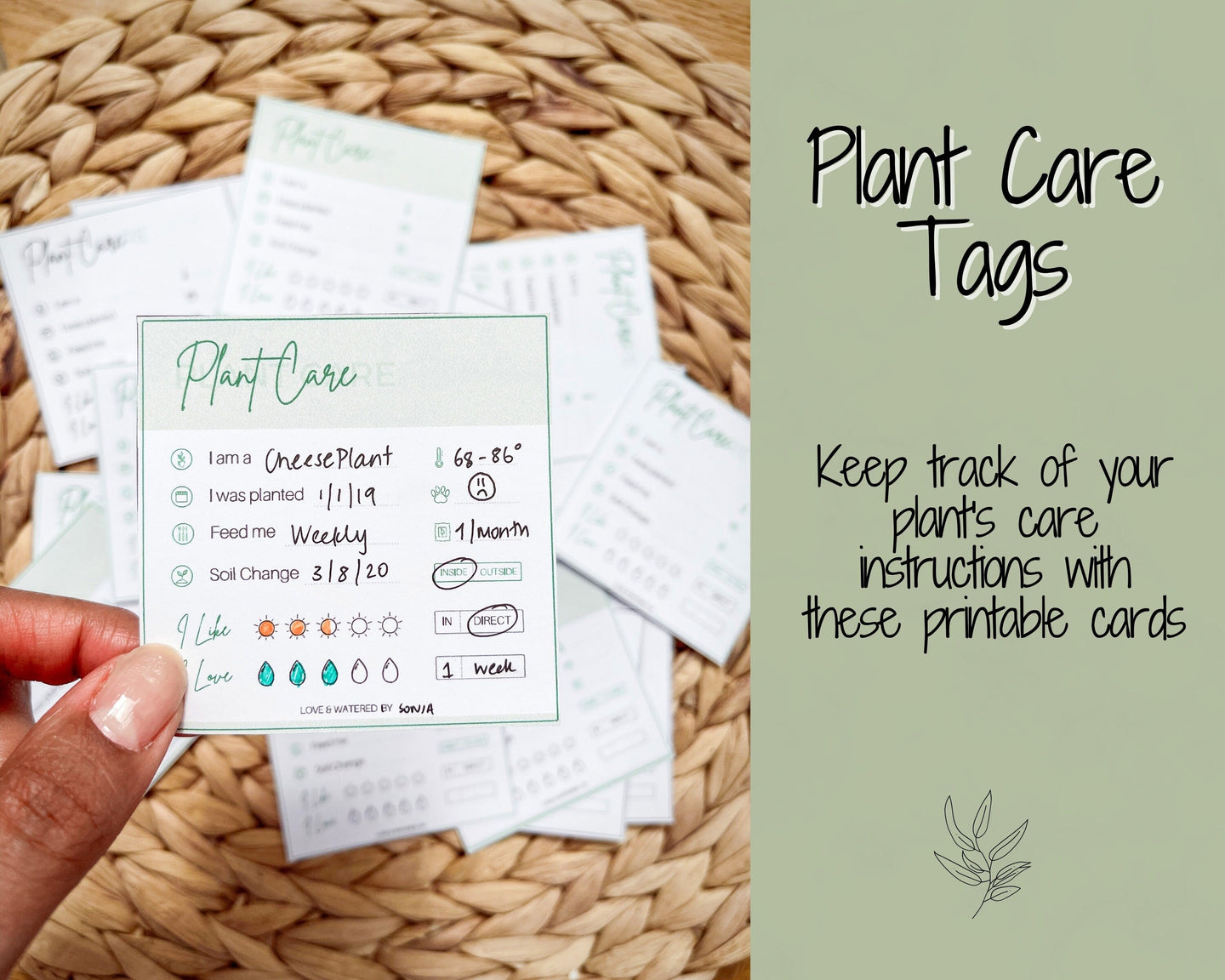 PLANT CARE Tags, Printable Plant Care Instructions Card, DIGITAL Care Card, Plant Sitter Gift, Plant Planner, Guide, Houseplant Garden Label