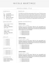 Load image into Gallery viewer, Professional Resume Template Word. CV Template Professional, Modern Executive Resume Template, Clean, Minimalist Resume, Free Docs Bundle
