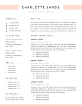 Load image into Gallery viewer, Professional Resume Template Word. CV Template Professional, Modern Executive Resume Template, Clean, Minimalist Resume, Free Docs Bundle | Style 13
