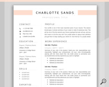 Load image into Gallery viewer, Professional Resume Template Word. CV Template Professional, Modern Executive Resume Template, Clean, Minimalist Resume, Free Docs Bundle | Style 13
