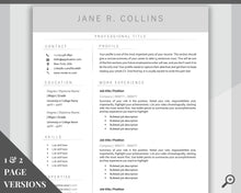 Load image into Gallery viewer, Professional Resume Template Word. CV Template Professional, Modern Executive Resume Template, Clean, Minimalist Resume, Free Docs Bundle | Style 5

