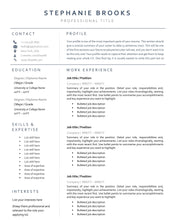 Load image into Gallery viewer, Professional Resume Template Word. CV Template Professional, Modern Executive Resume Template, Clean, Minimalist Resume, Free Docs Bundle | Style 6
