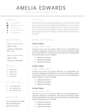 Load image into Gallery viewer, Professional Resume Template Word. CV Template Professional, Modern Executive Resume Template, Clean, Minimalist Resume, Free Docs Bundle | Style 9
